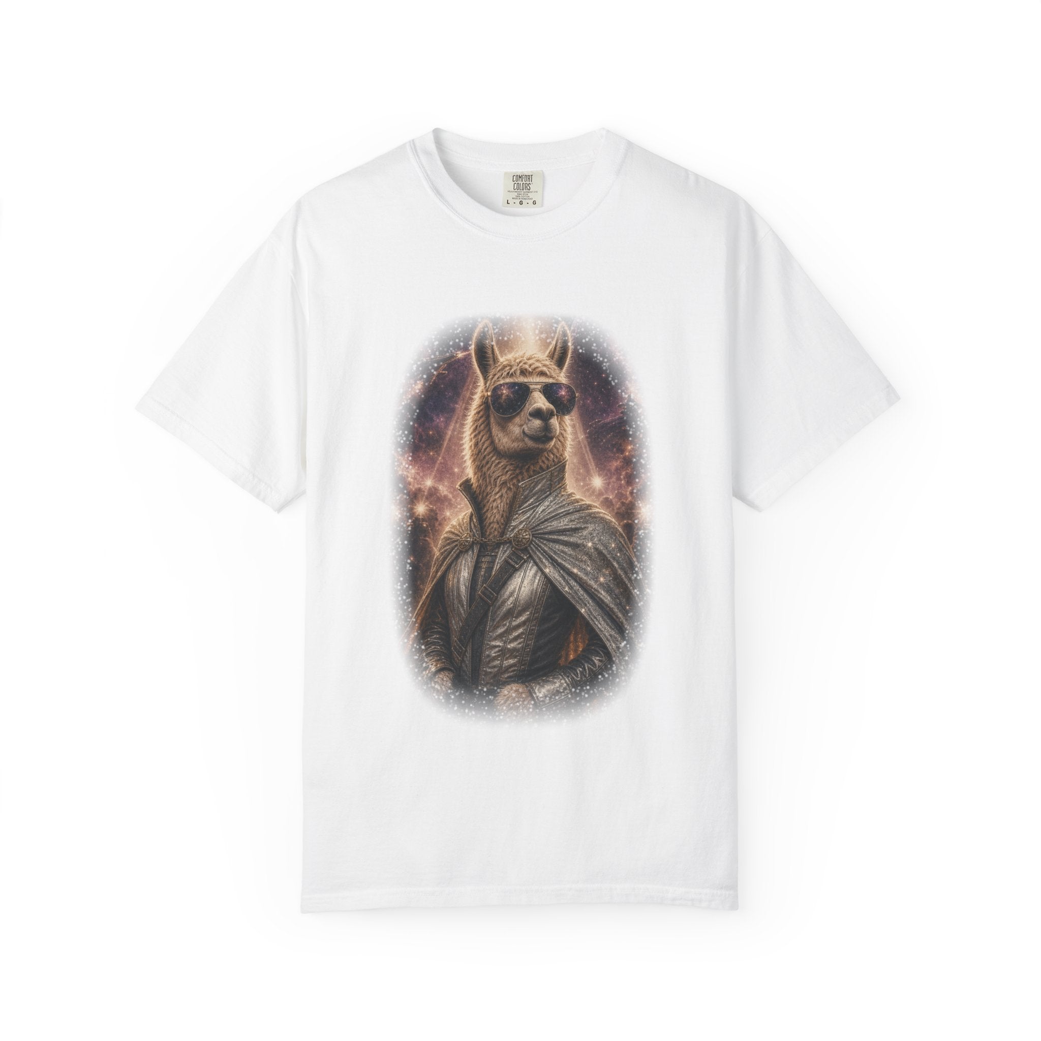 Space Llama