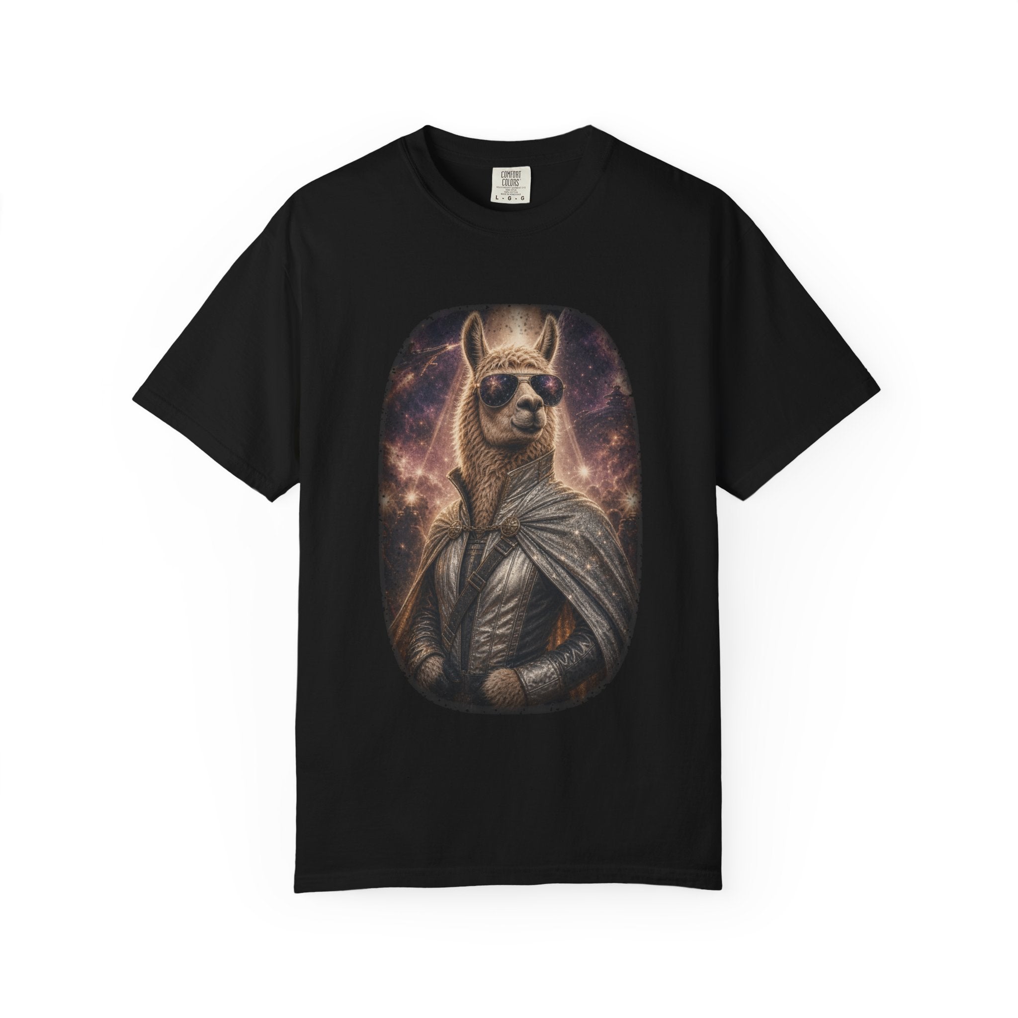 Space Llama