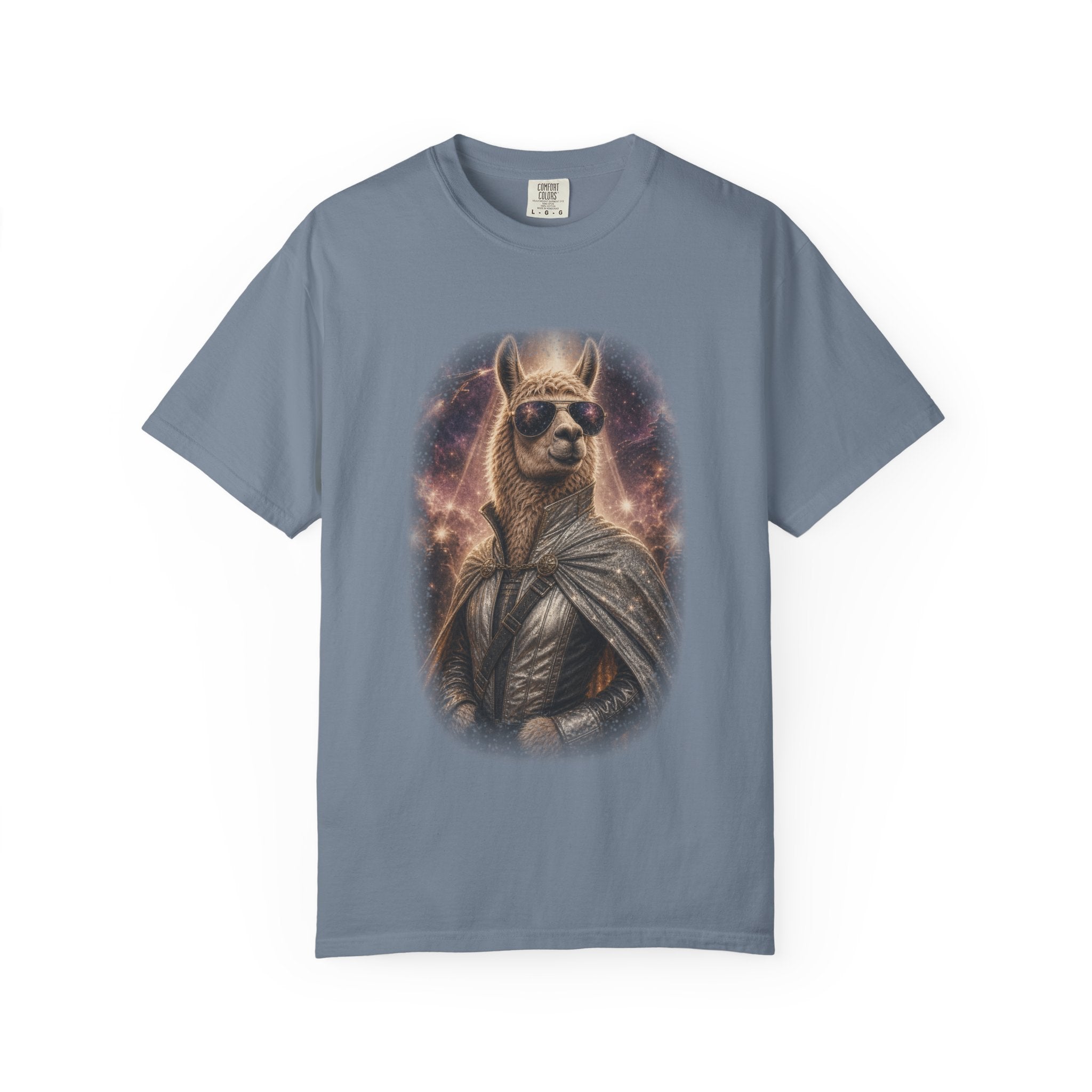 Space Llama