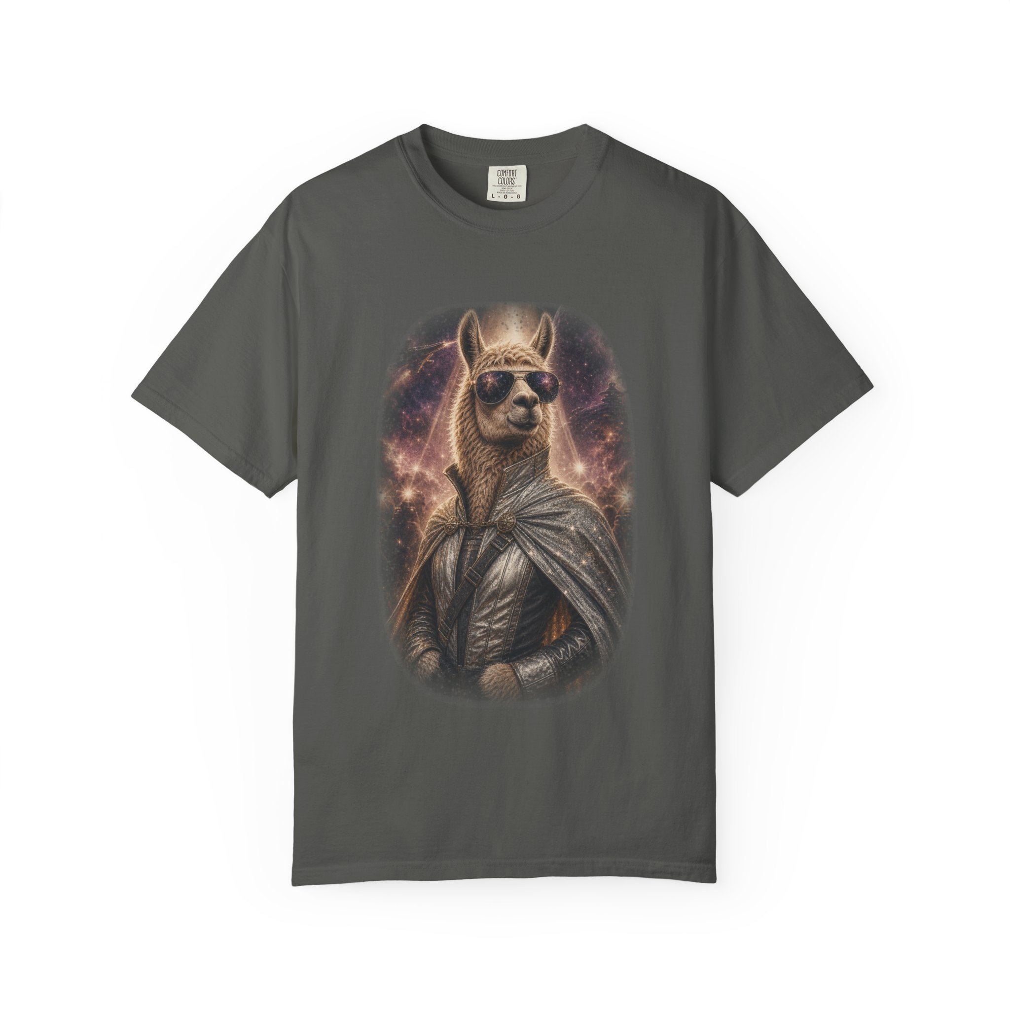 Space Llama