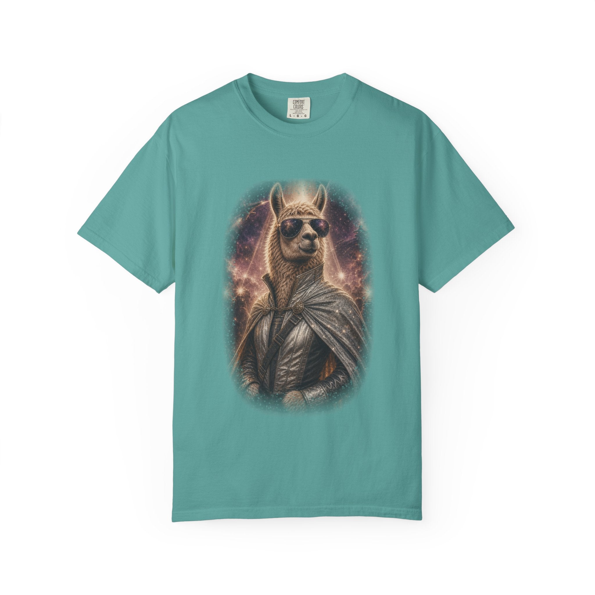 Space Llama
