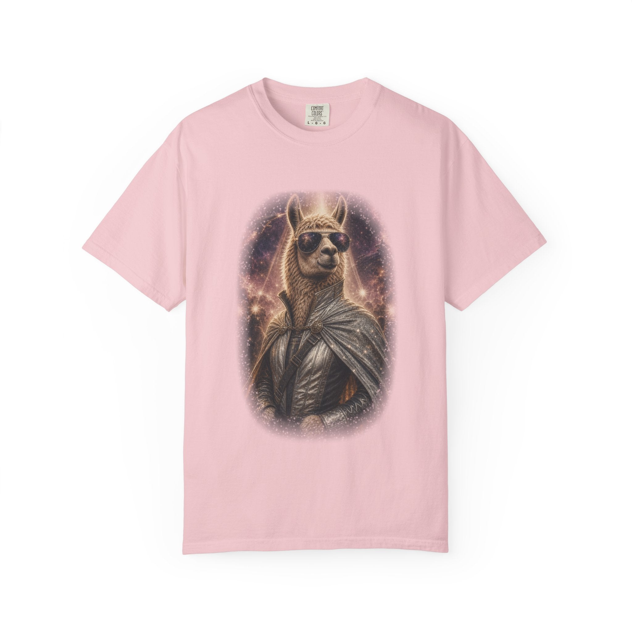 Space Llama