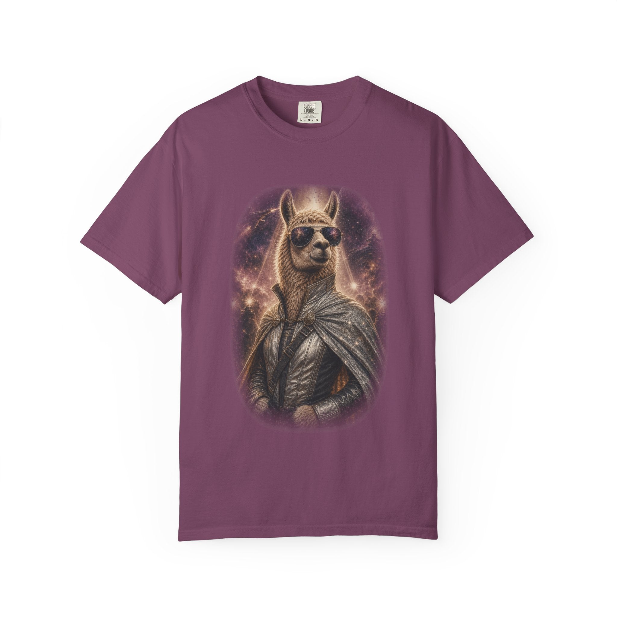 Space Llama