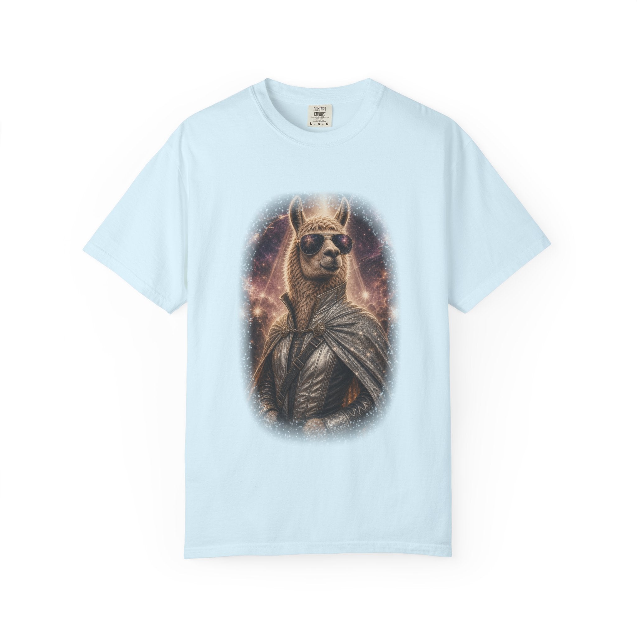 Space Llama