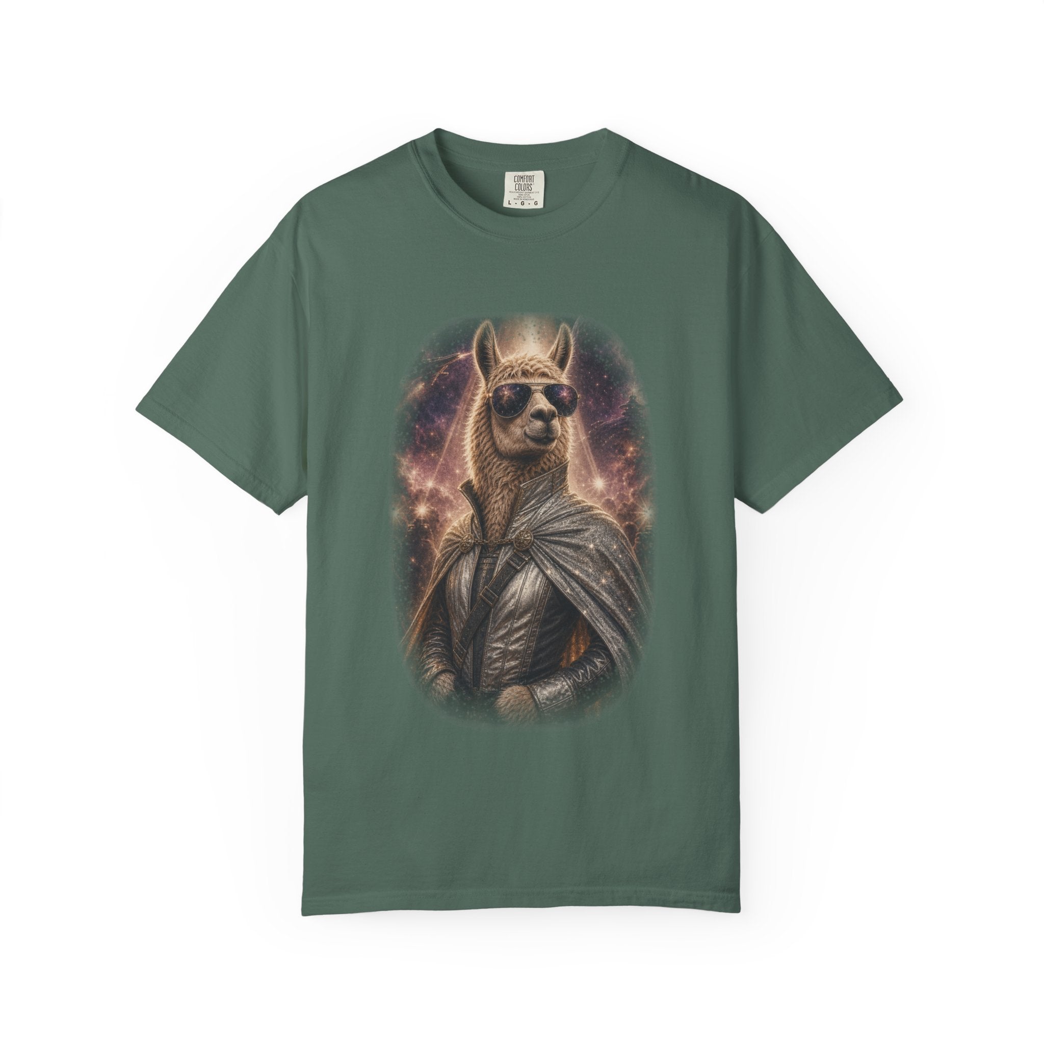 Space Llama