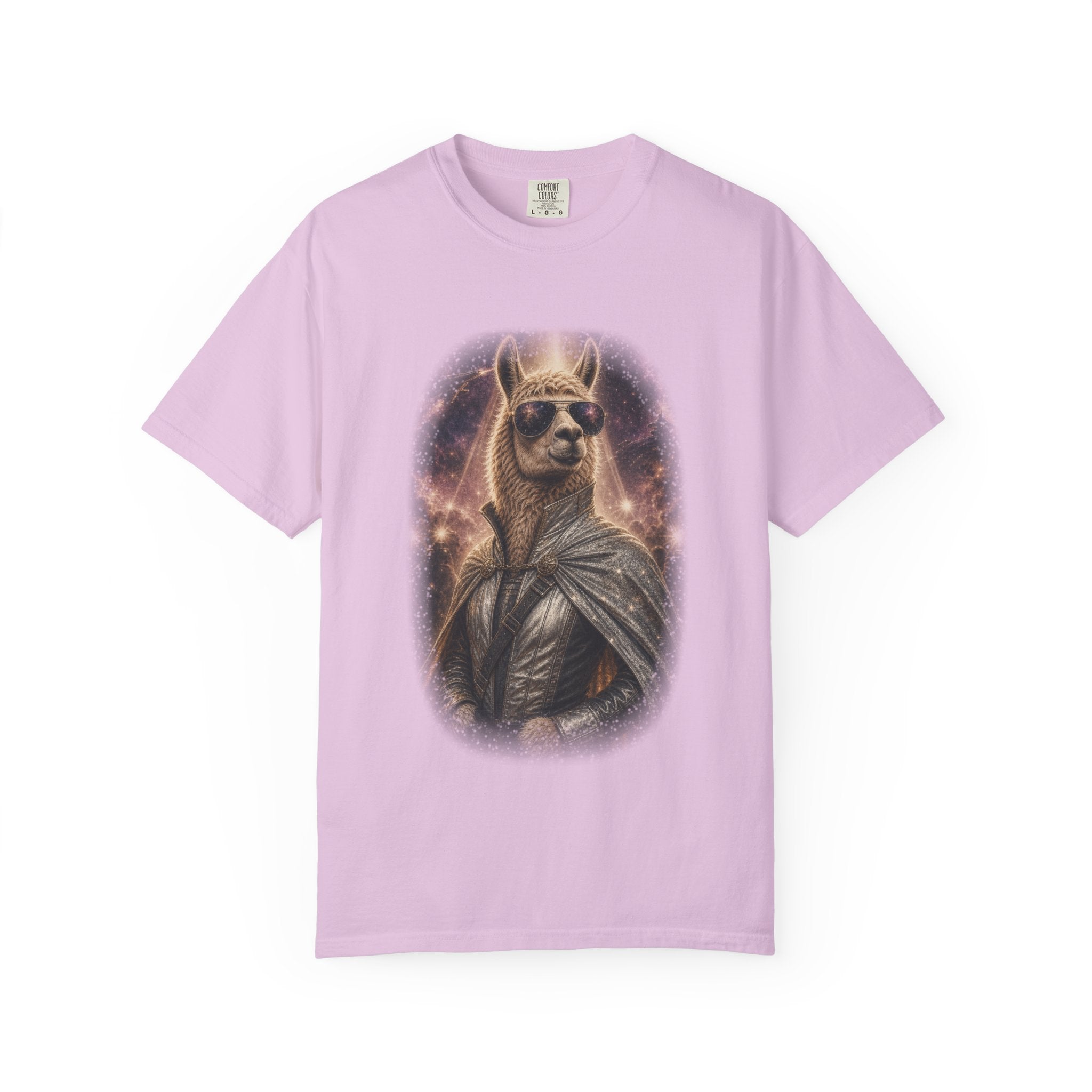 Space Llama