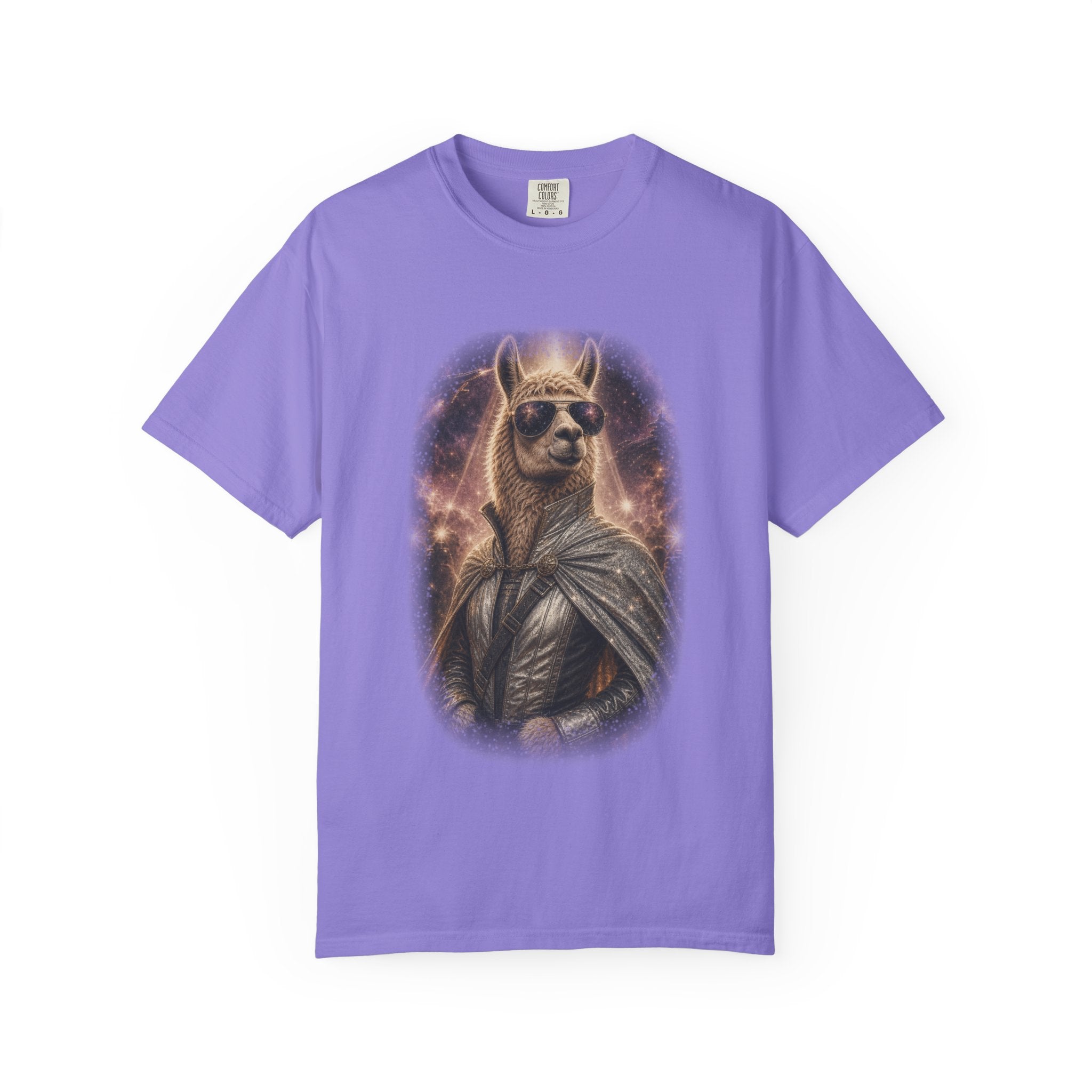 Space Llama