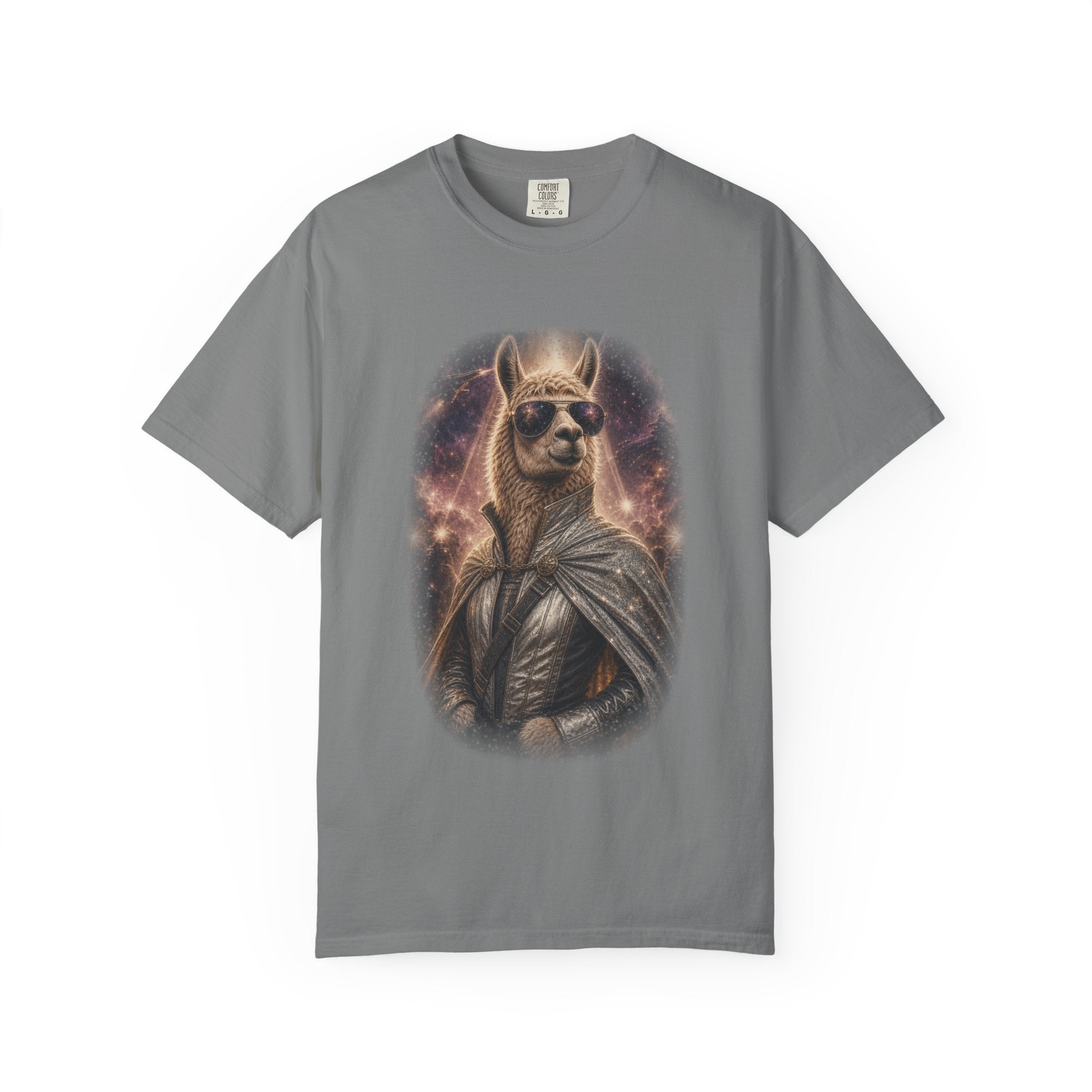 Space Llama