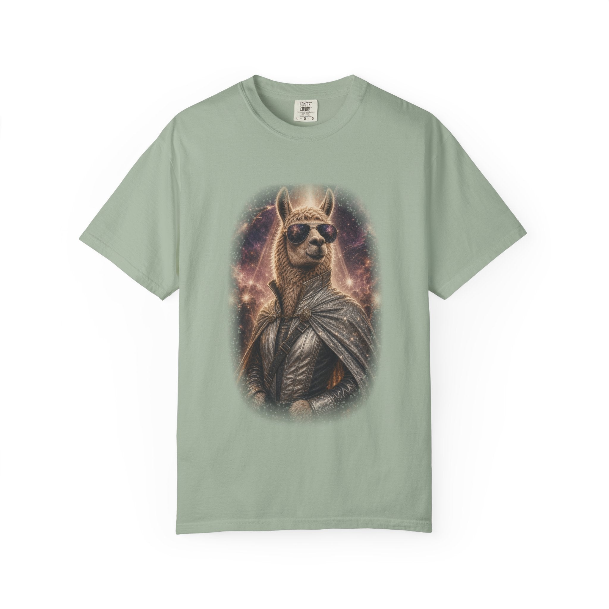 Space Llama
